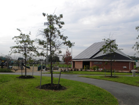 Covered pavilion and picnic area in a North Brunswick park